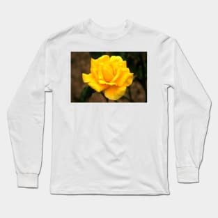 A Kiss From A Rose Long Sleeve T-Shirt